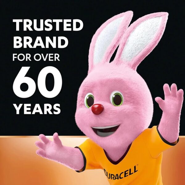 Duracell AA Battery